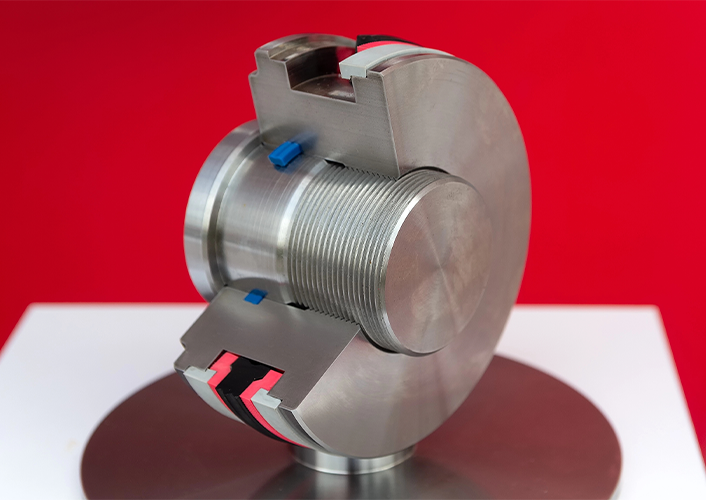 Types of PEEK Seals We Offer