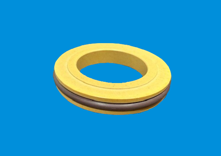 Radial/Lip