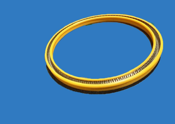 Spring-Energized Seals