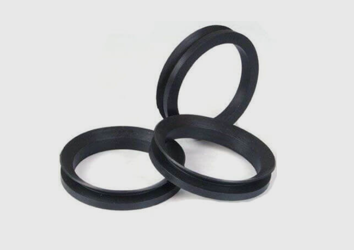 V-Ring/V-Seal